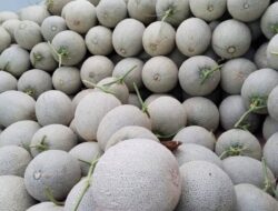 Empowering Farmers, Creating Jobs, Reducing Poverty Worldwide