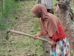 Restoring Hope Through Resilient Livelihoods