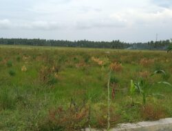 Reviving Flood-Affected Land in Gampong Ulee Ceu