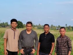 Survei Lahan Jagung Pasca Banjir di Ulee Ceu Ketika Sawah Hilang Harapan Tak Boleh Ikut Tenggelam