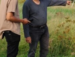 Profesionalisme Penyuluh Pertanian Disorot, Petani di Bireuen Butuh Pendampingan Nyata