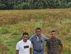 Di Atas Lumpur yang Mengering, Harapan Sedang Ditanam Kembali: Relawan Peduli Rakyat Lintas Batas Dorong Kebangkitan Petani Pascabencana di Kecamatan Jangka
