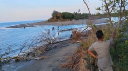 Pante Paku Coastal Area in Aceh Faces Severe Environmental Crisis, Communities Urge Immediate National Intervention