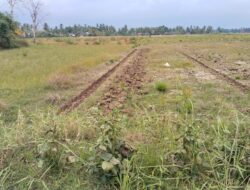 Lahan Siap, Petani Siap, Air Tak Ada: Relawan Ambil Peran Saat Dukungan Pertanian Bireuen Tersendat”