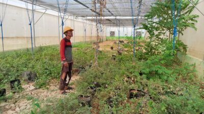 Screen House Rp486 Juta di Bugeng Terlantar, Ketua Umum RPR-LB Soroti Nasib Petani Kecil